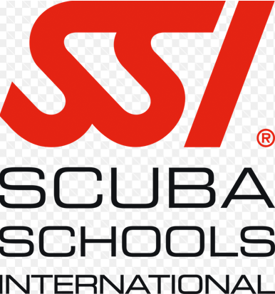 ssi.png